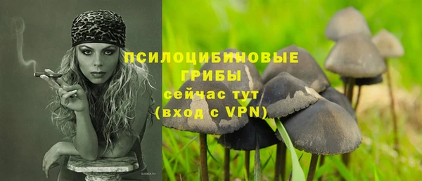 mdpv Нея