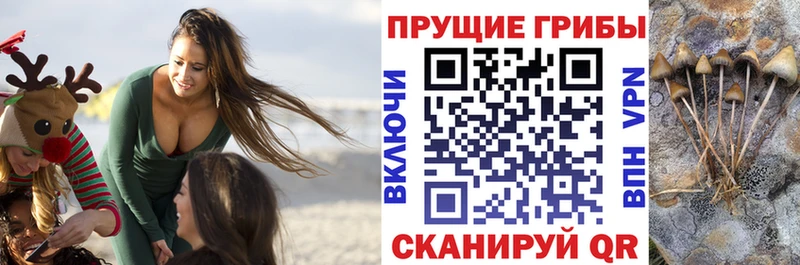 Купить закладки  Кемерово  Галлюциногенные грибы Magic Shrooms 