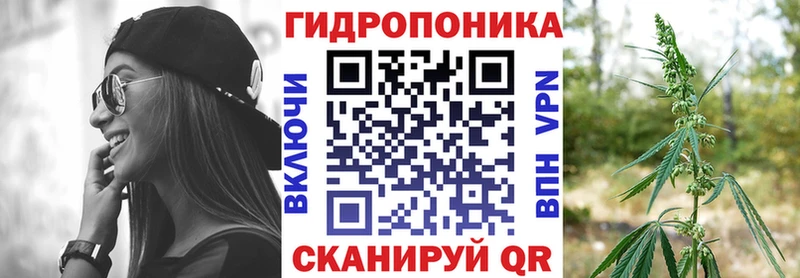 Бошки Шишки THC 21%  Купить где  Кемерово 